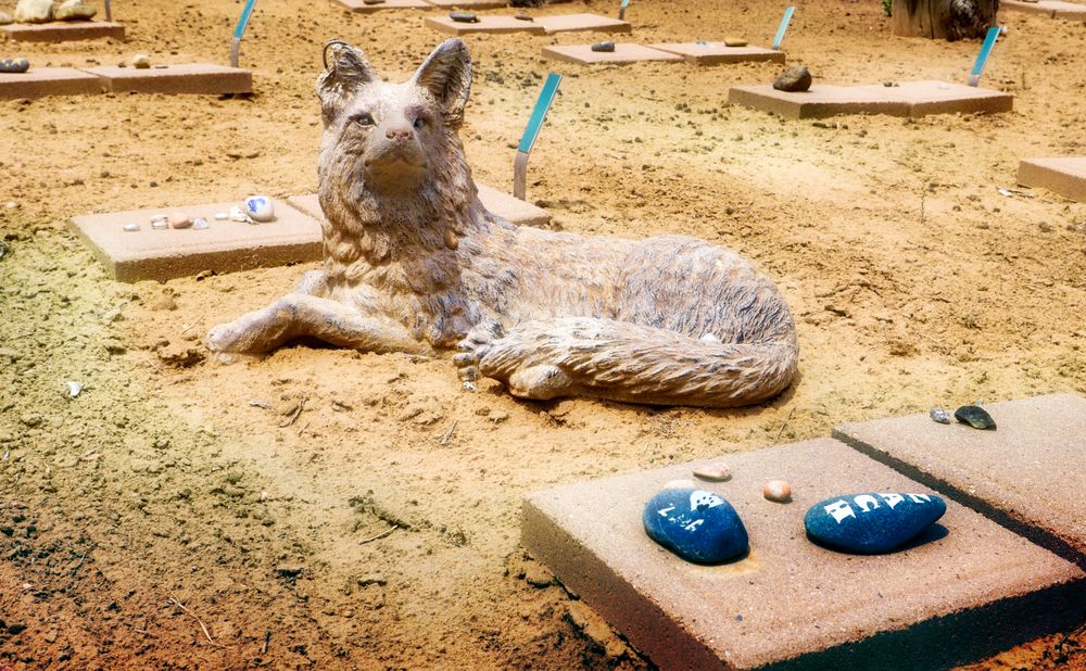 Animal cemetery at Best Friends Animal Sanctuary
