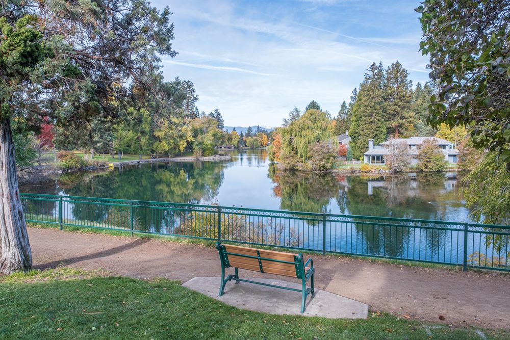 Bench at Drake Park