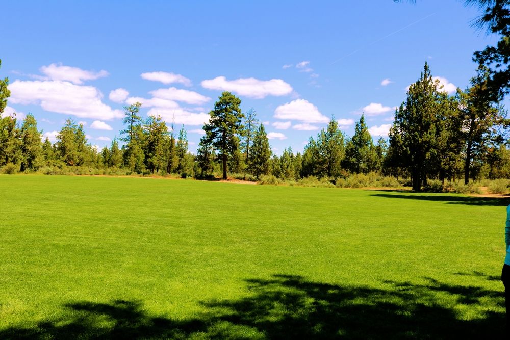 The grounds of Sawyer Park