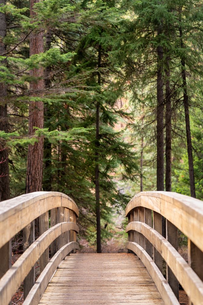 Arched bridge at Shevlin Park