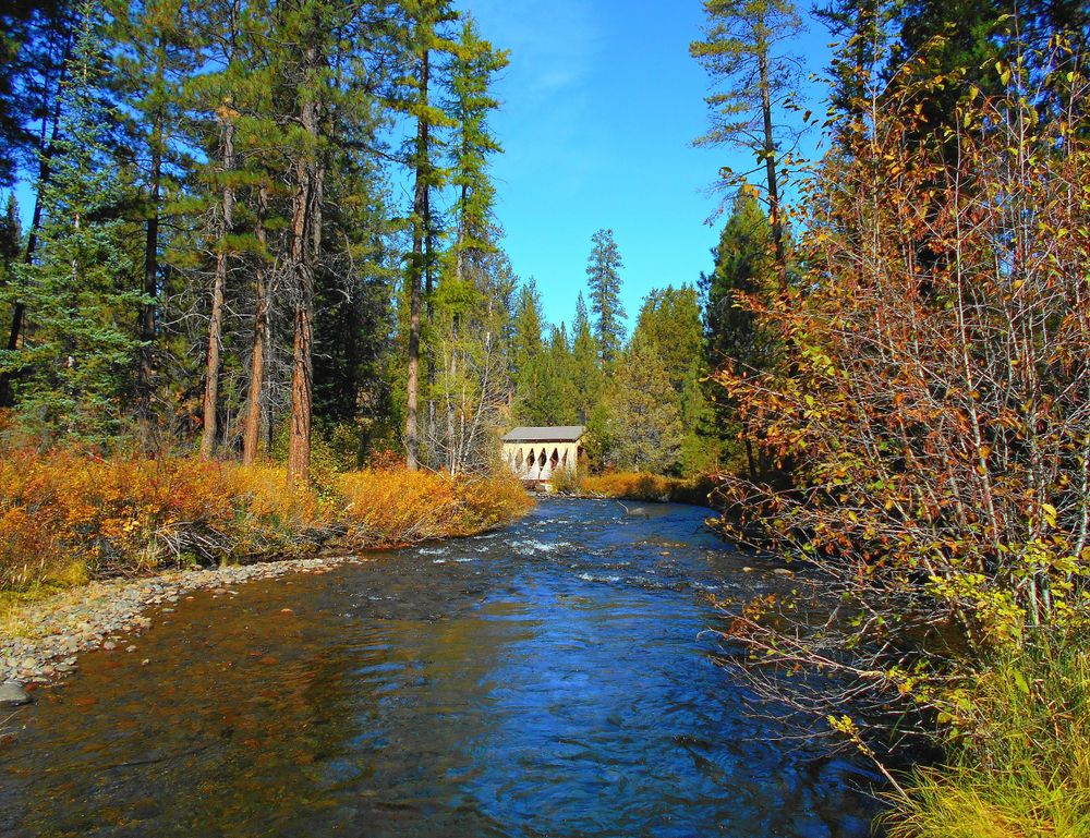 The waters of Shevlin Park