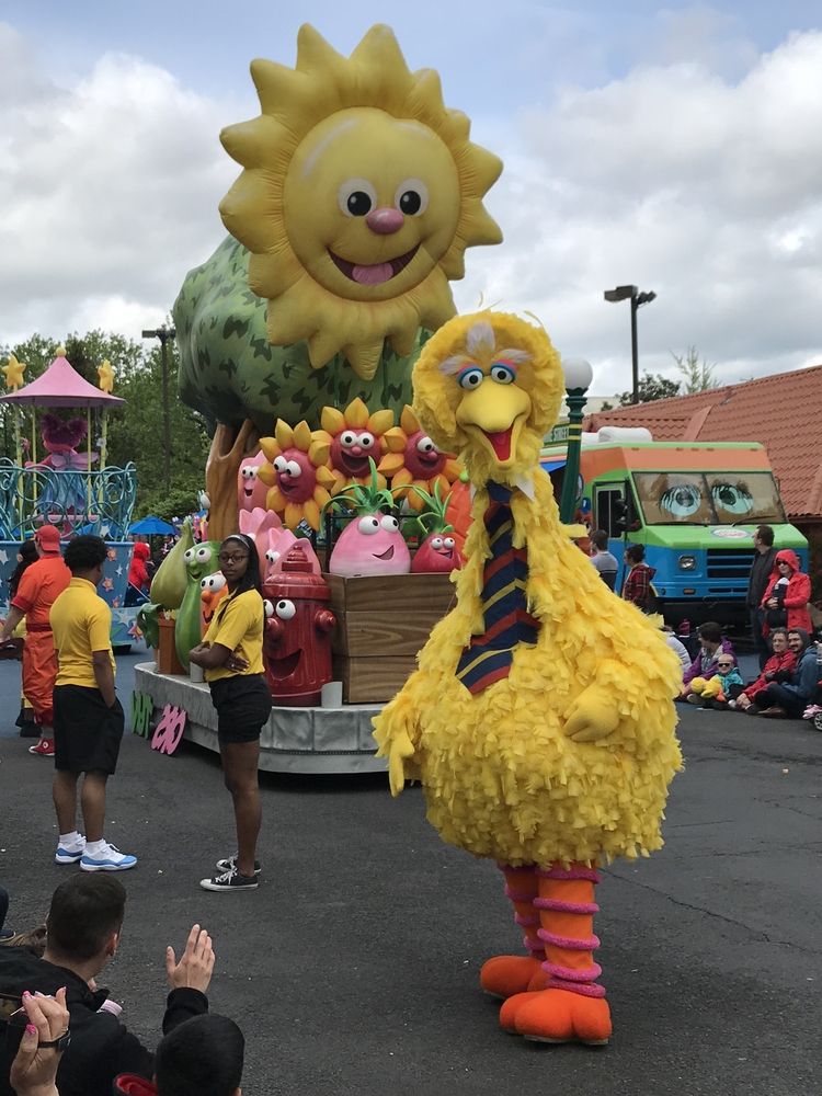 Big bird during the Sesame Place parade