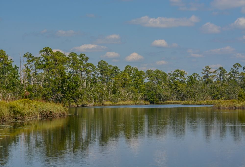 The waters of Russell Harber Landing Park