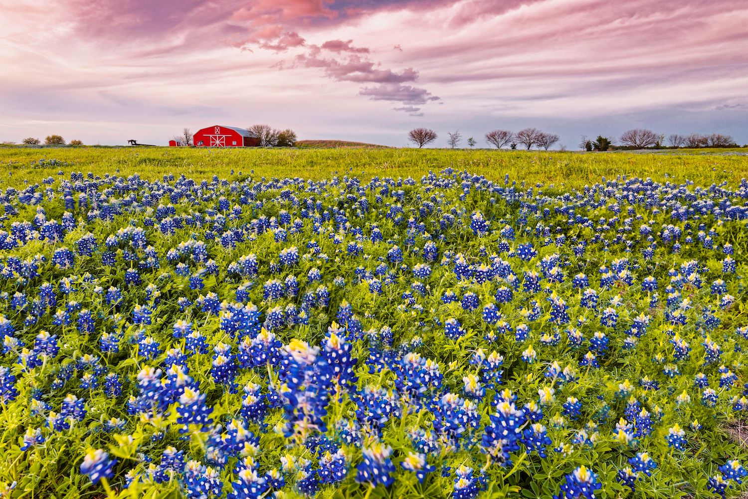 17 Best Things to Do in Brenham, TX