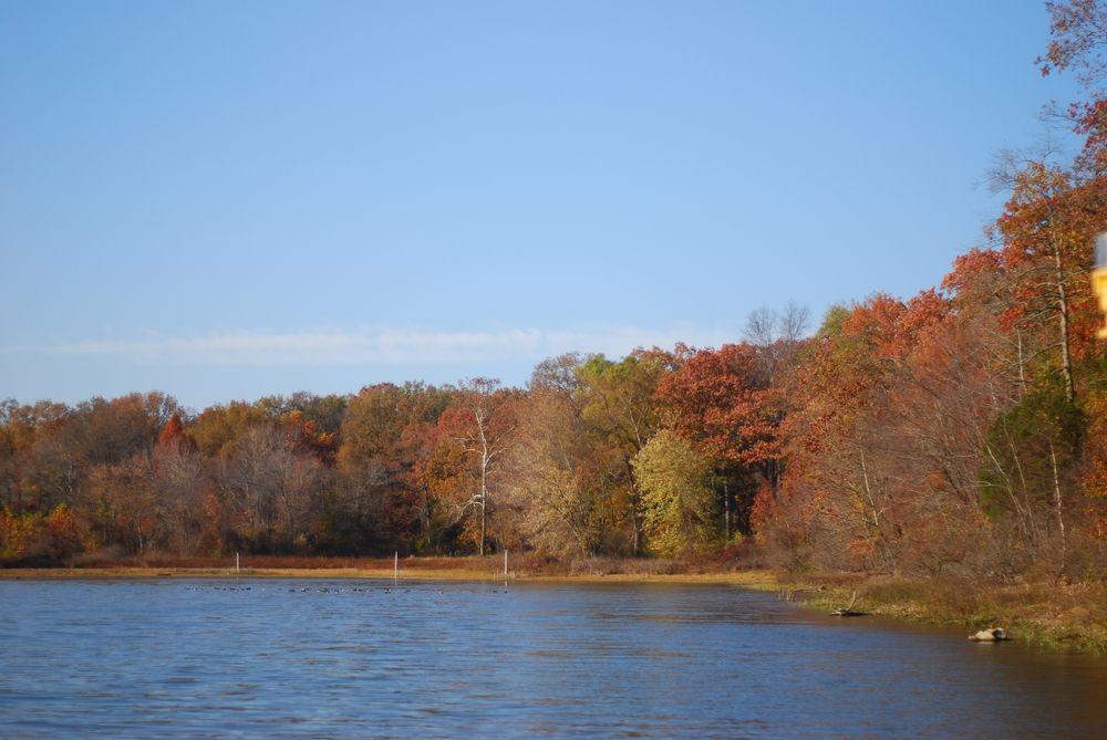 The waters of Paris Landing State Park