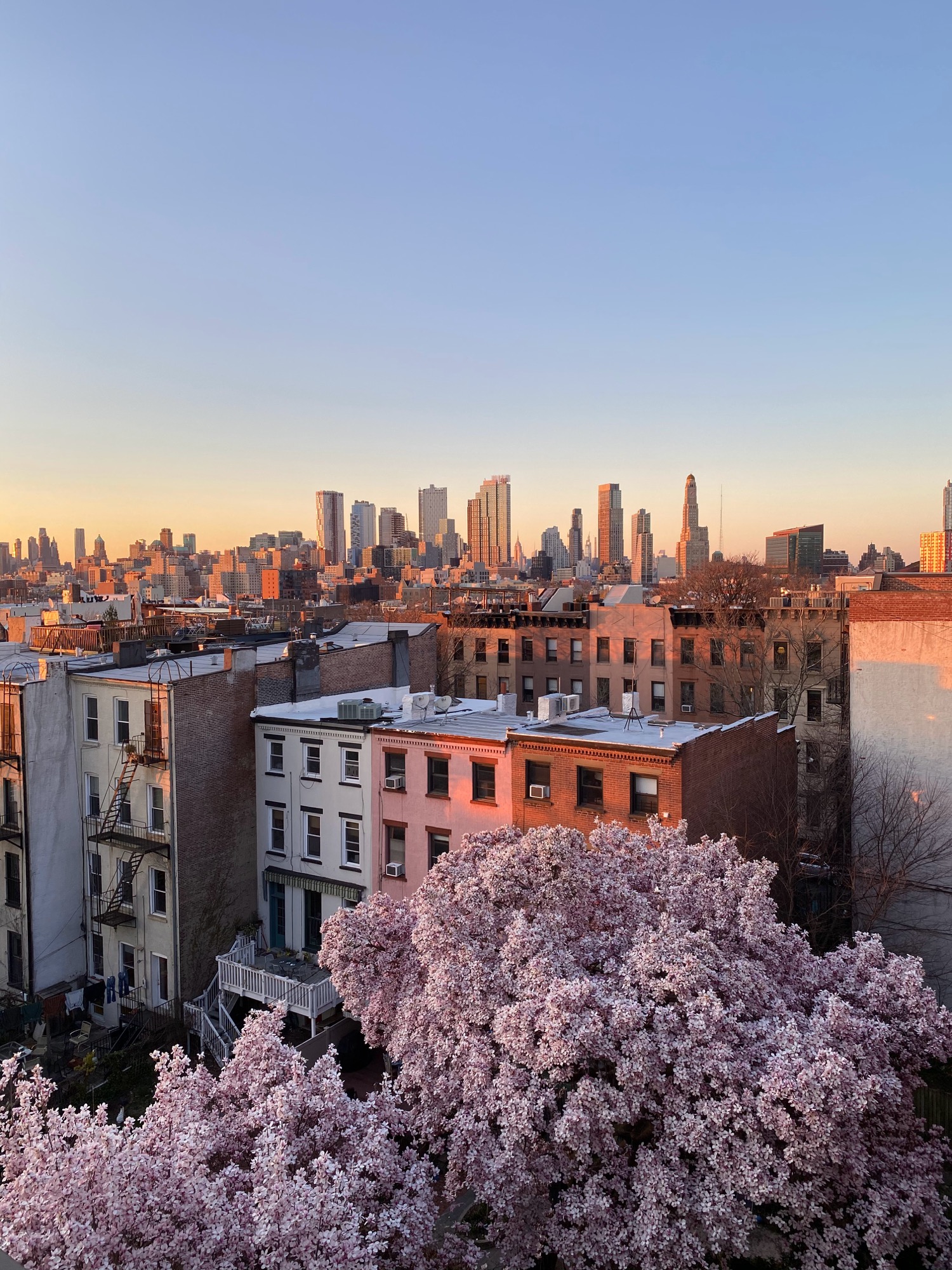 30 Incredible Photos of Brooklyn, NYC