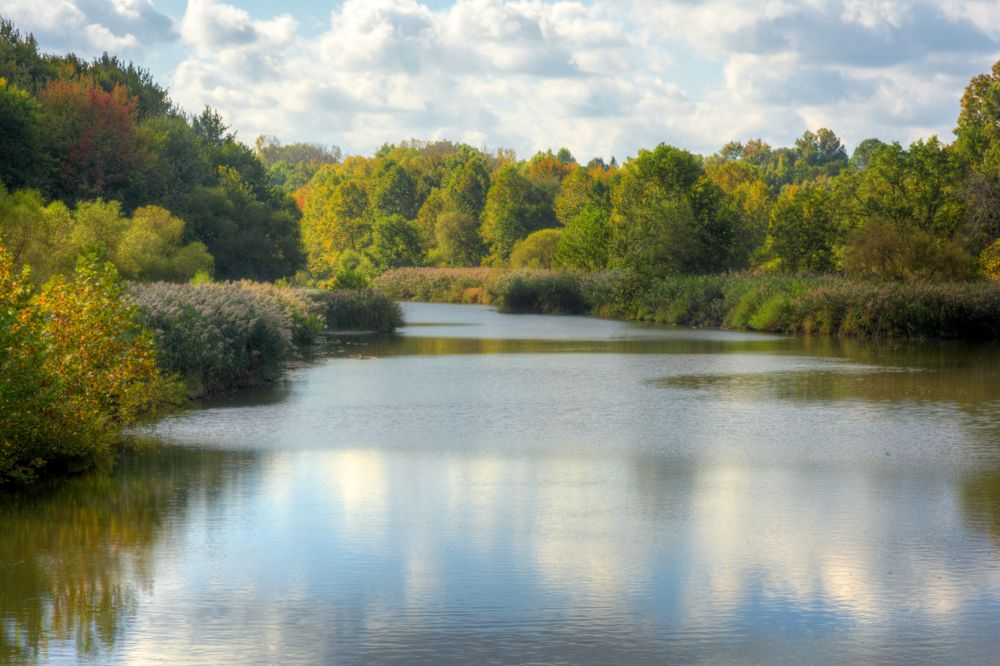 Calm lake waters of Mill Stream Run Reservation