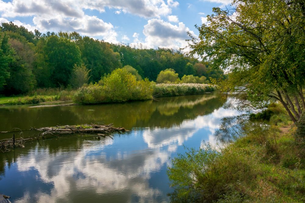 The sky, and trees reflecting on Mill Stream Run Reservation lake