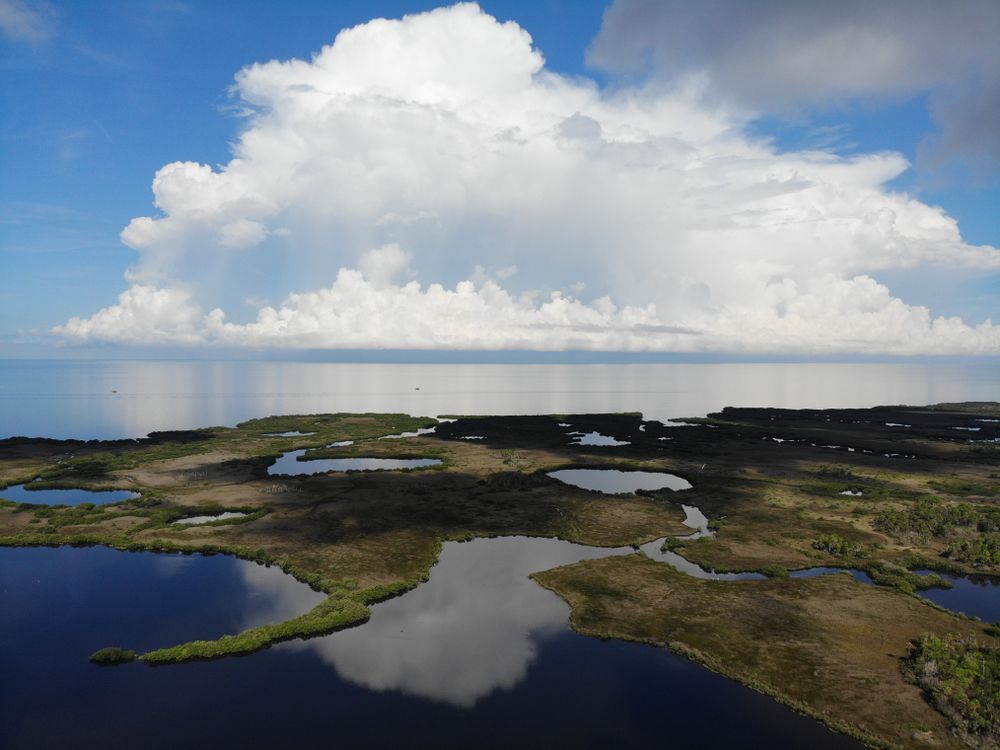 Aerial View of Werner-Boyce Salt Springs State Park