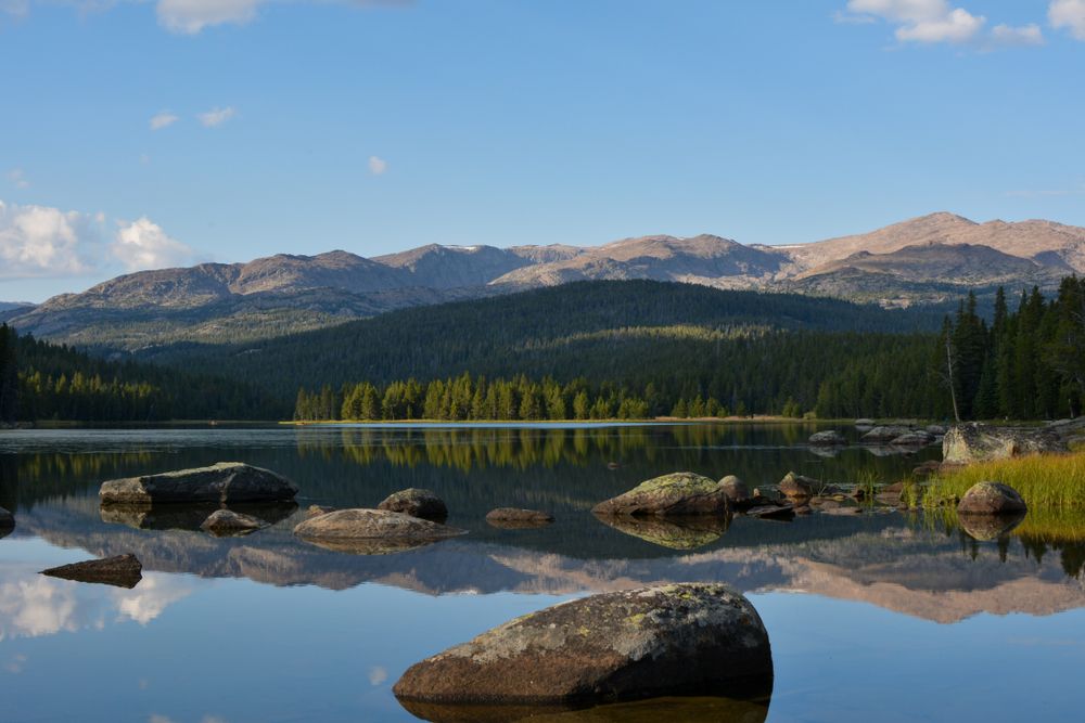 Scenic nature view of bighorn national forest.