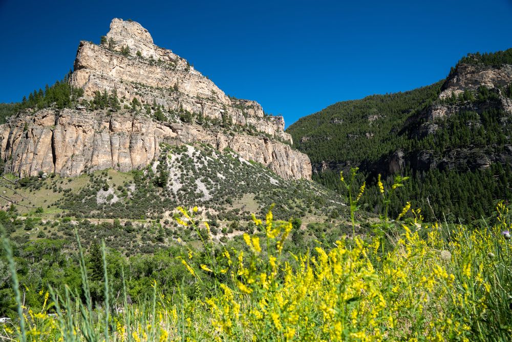 View of a canyon at bighorn national forest.