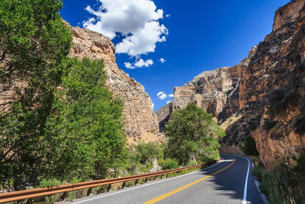Road to the bighorn national forest.