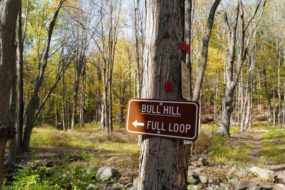 Signage of Bull Hill in New York.