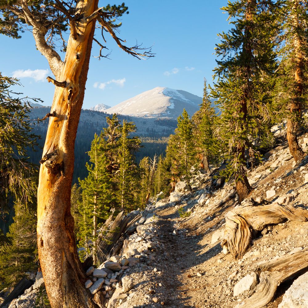 Scenic view from Pacific Crest Trail