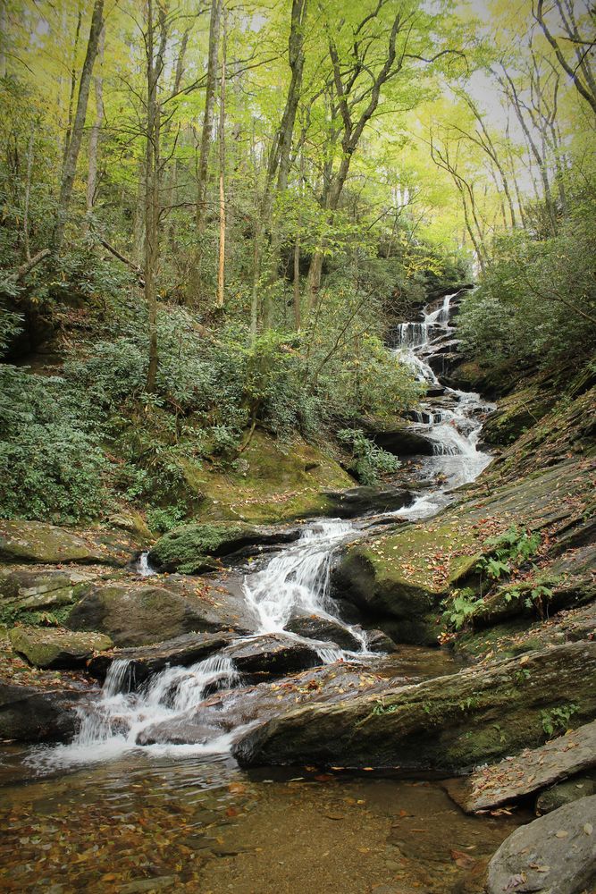 Trees framing the Roaring Fork Falls