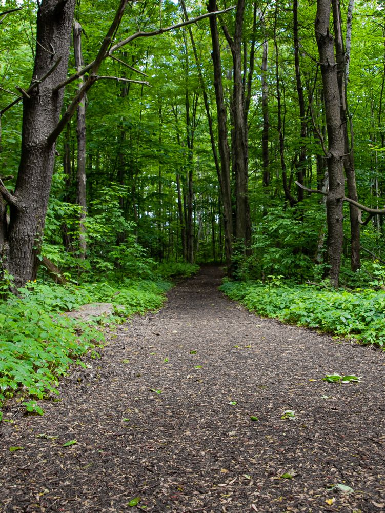 Nature trail at Red Rocks Park
