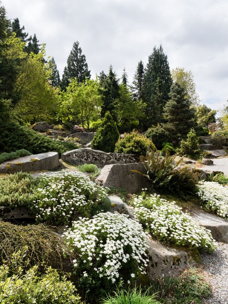 View of Bellevue Botanical Garden's flora