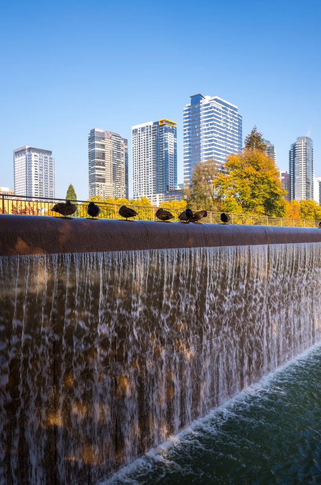 Water fountain at Bellevue Downtown Park