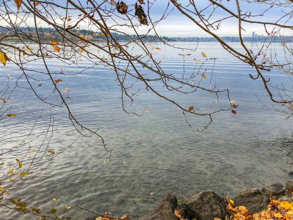 The waters of Chism Beach Park