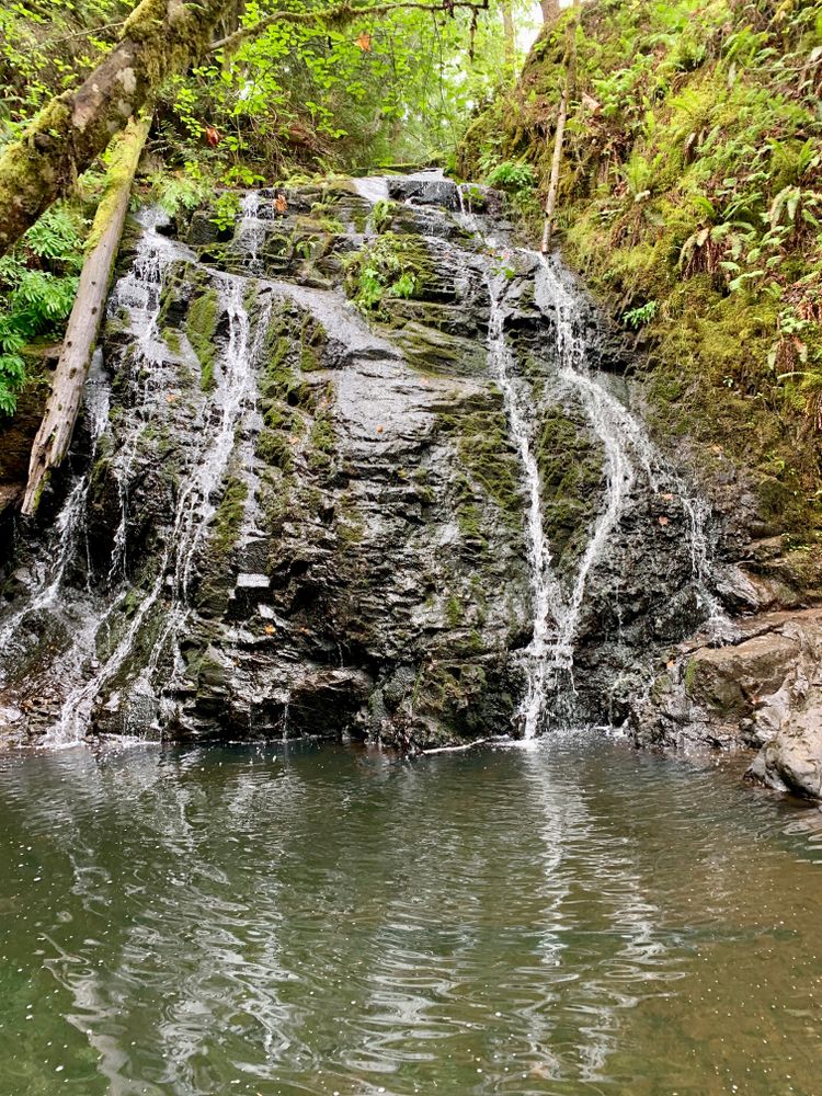 Cascades of Dickerson Creek Waterfall Trail