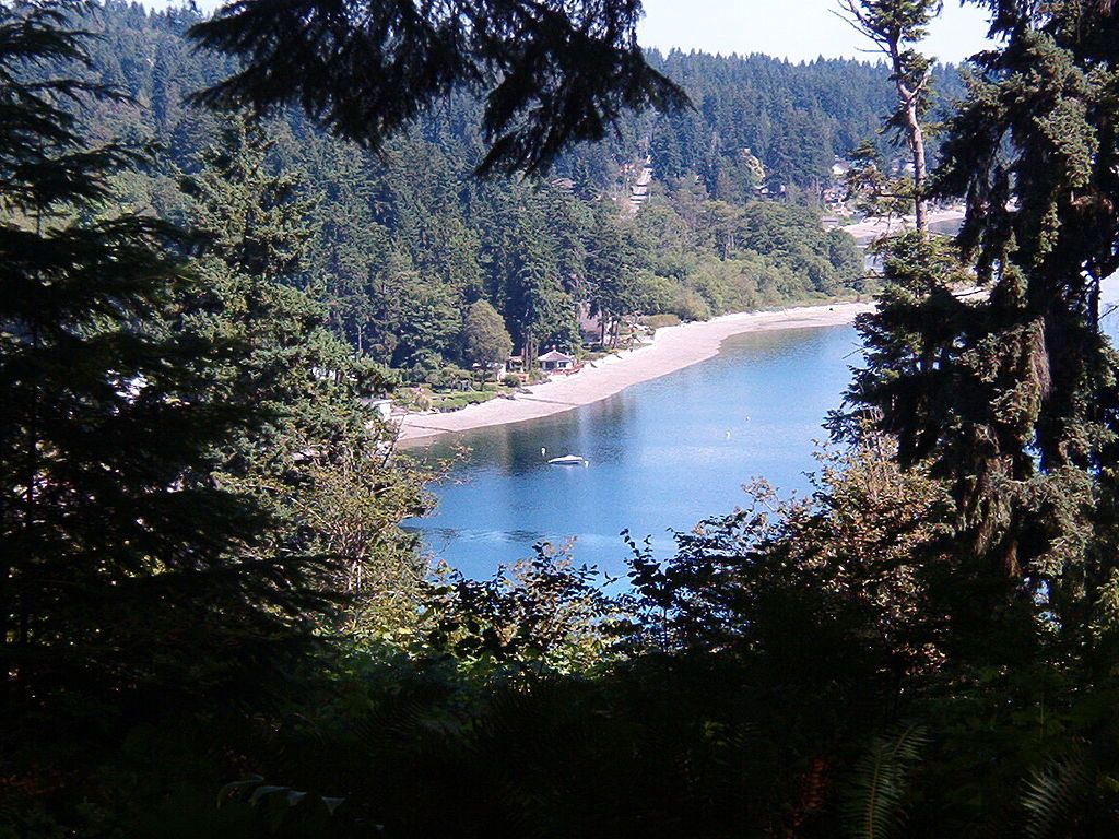 Lush greenery at Illahee State Park