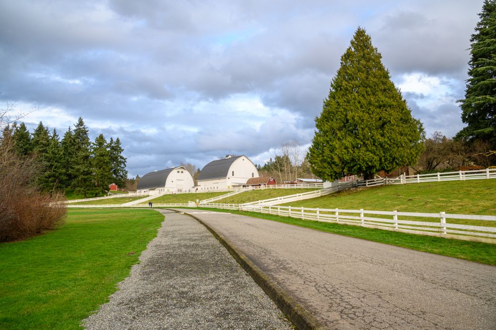 Daytime view of Kelsey Creek Farm