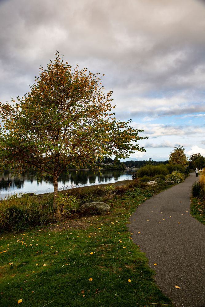 Trail beside the water of Lions Park