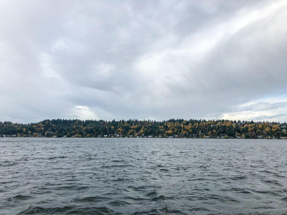 The waters of Newcastle Beach Park