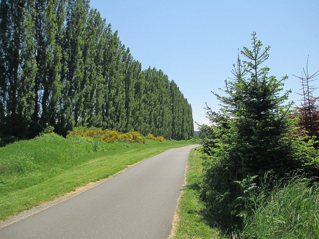 Paved road of Sammamish River Trail