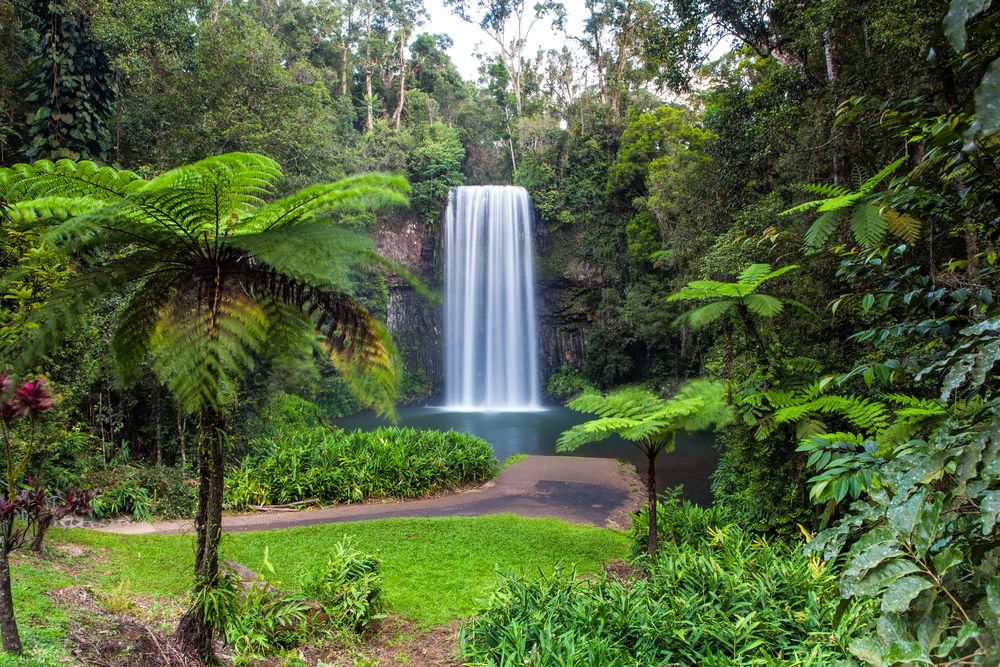 A waterfall at Atherton Tablelands