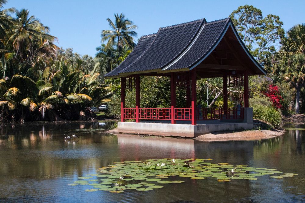 Waters surrounding a pavilion at Cairns Botanic Gardens