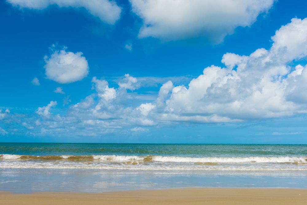 The waters of Cape Tribulation Beach