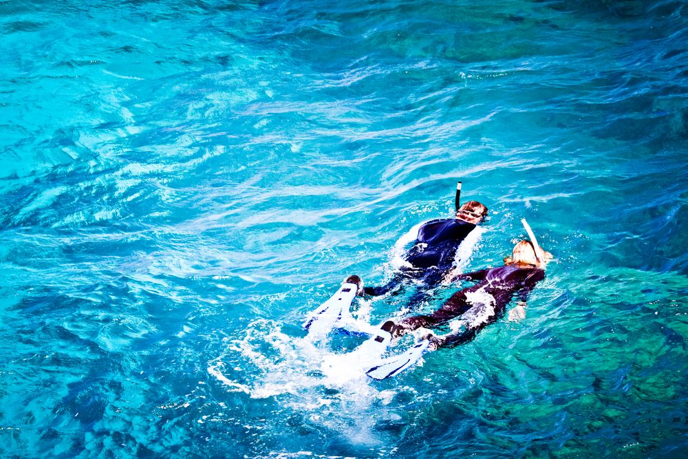 People snorkelling on Green Island's water