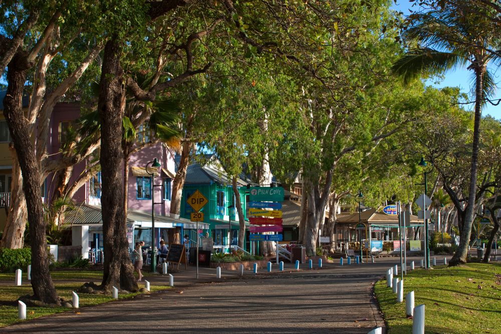 Daytime view of Palm Cove shops