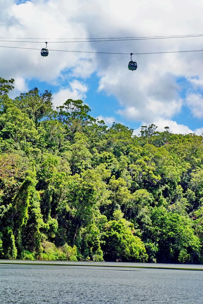 View of Skyrail Rainforest Cableway's gondolas