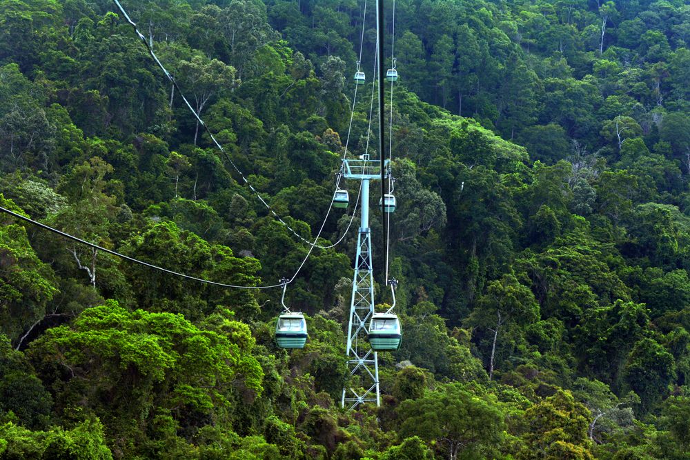 Gondolas of Skyrail Rainforest Cableway
