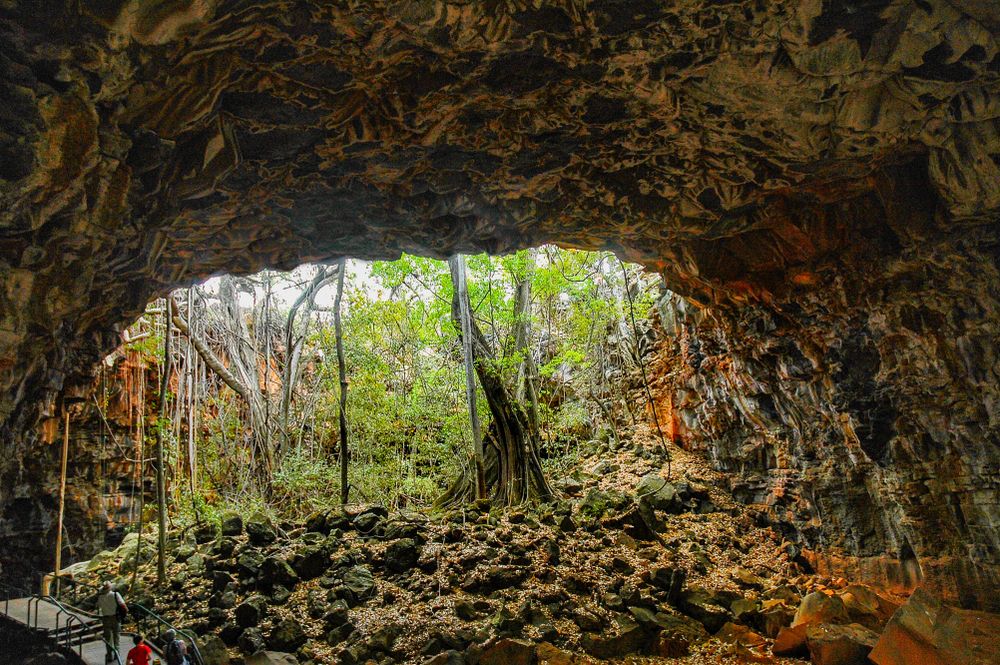 Arch lava tube entrance at Undara Volcanic National Park
