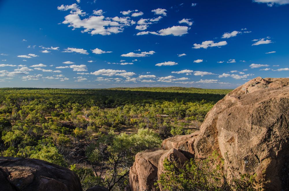 The view from Undara Volcanic National Park