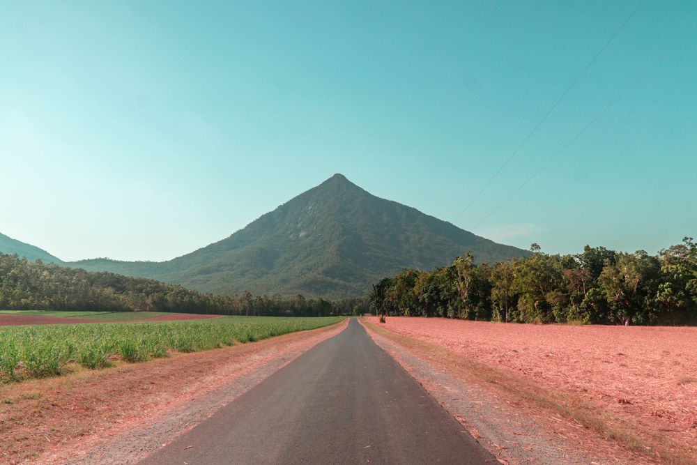 View of Walsh's Pyramid from the road