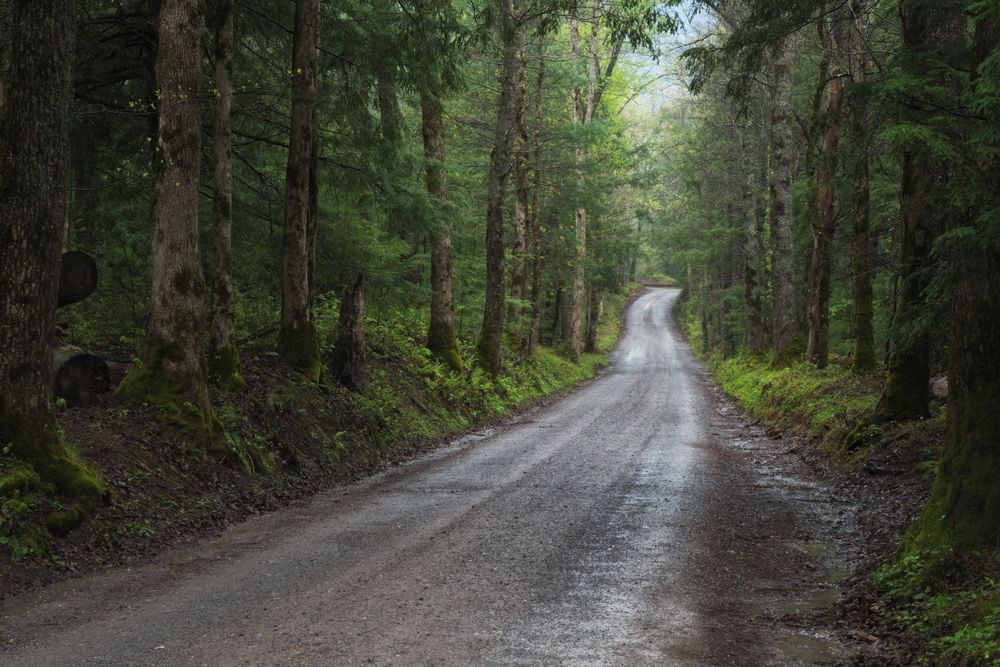 A gravel road in Cades Cove