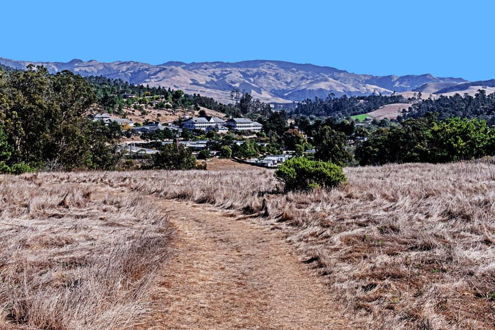 Sunny landscape of Fiscalini Ranch Preserve