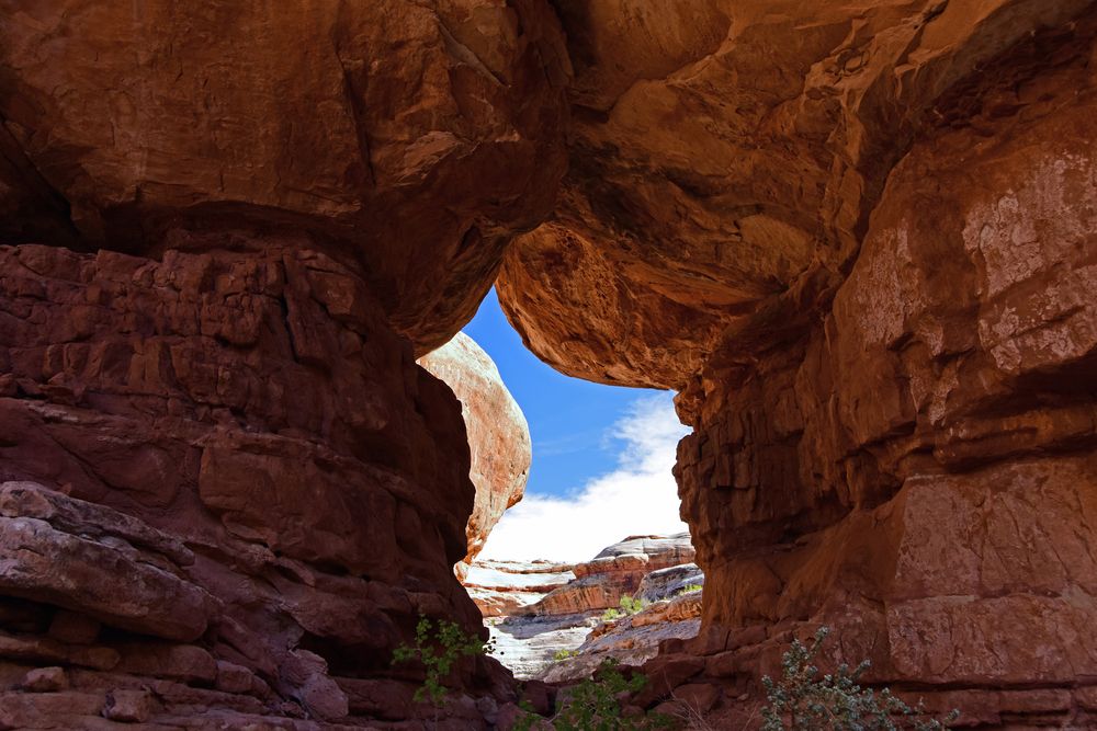 View of Cedar Mesa