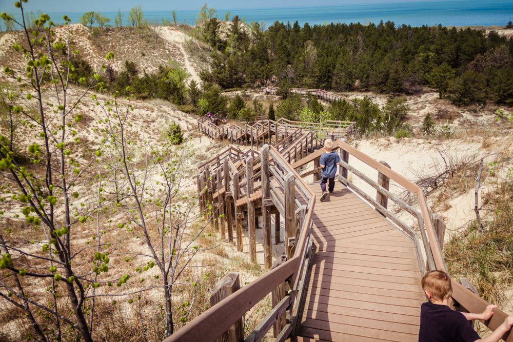 Boardwalk at Indiana Dunes National Park