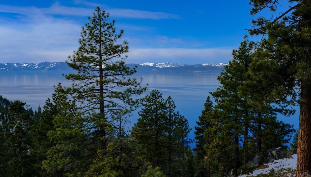 The view of Lake Tahoe from Skunk Harbor's trail