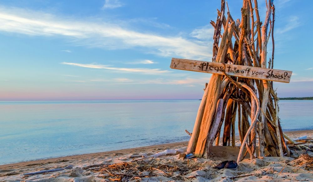 Driftwood with sign at Port Crescent State Park.