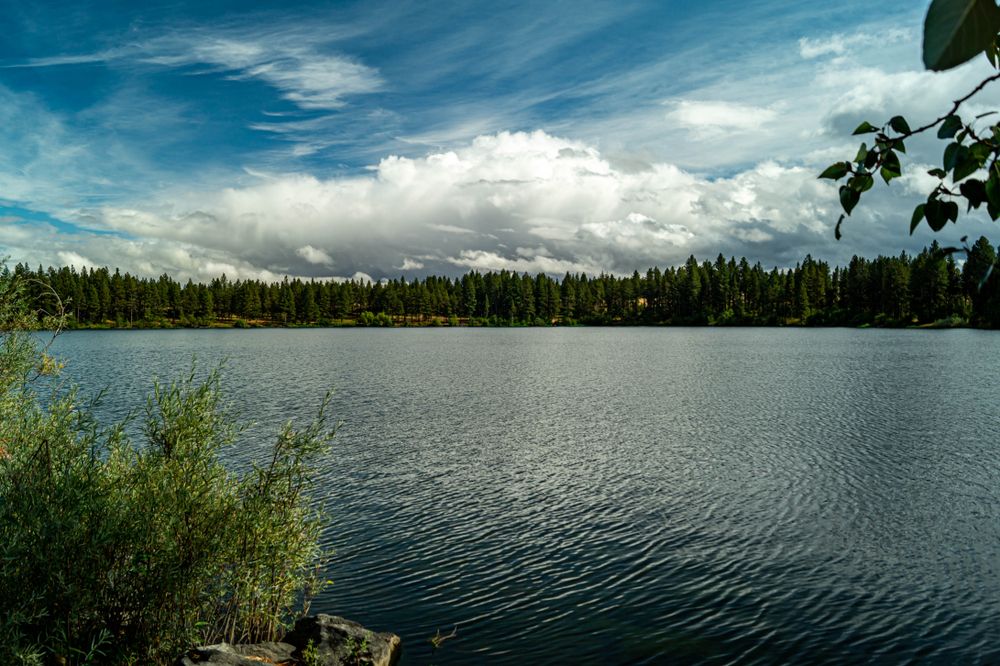 View of Morgan Lake