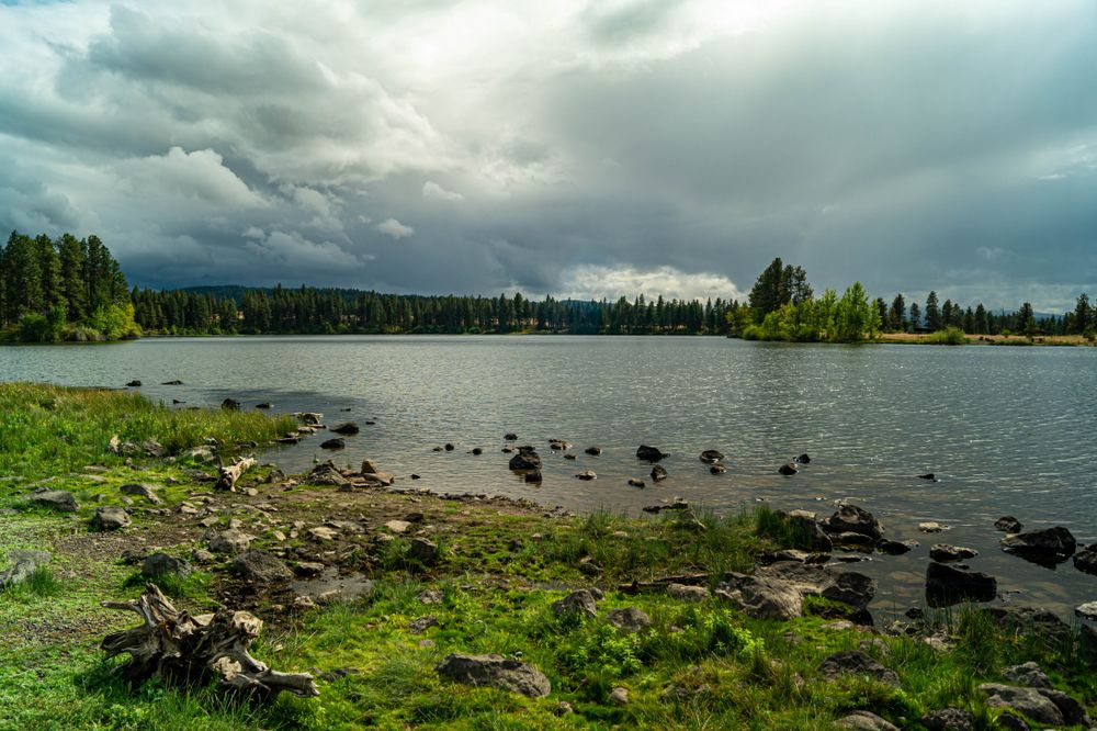 View of Morgan Lake