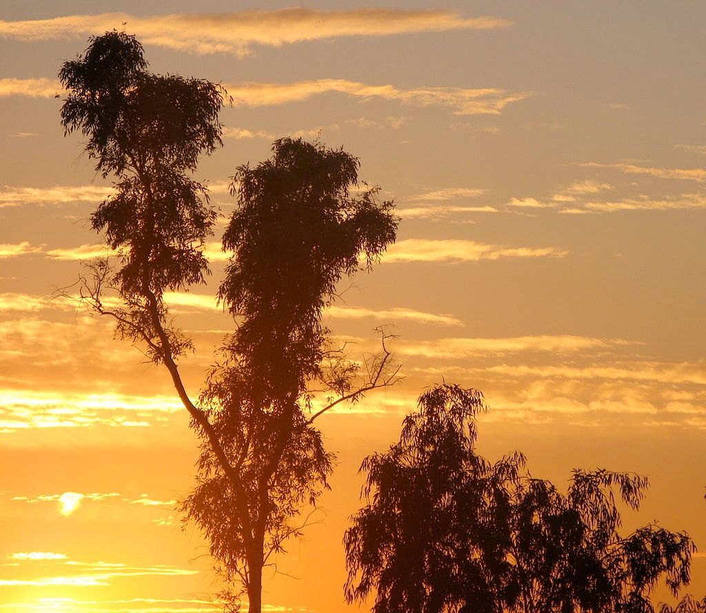 Sunset over Desert Breeze Park