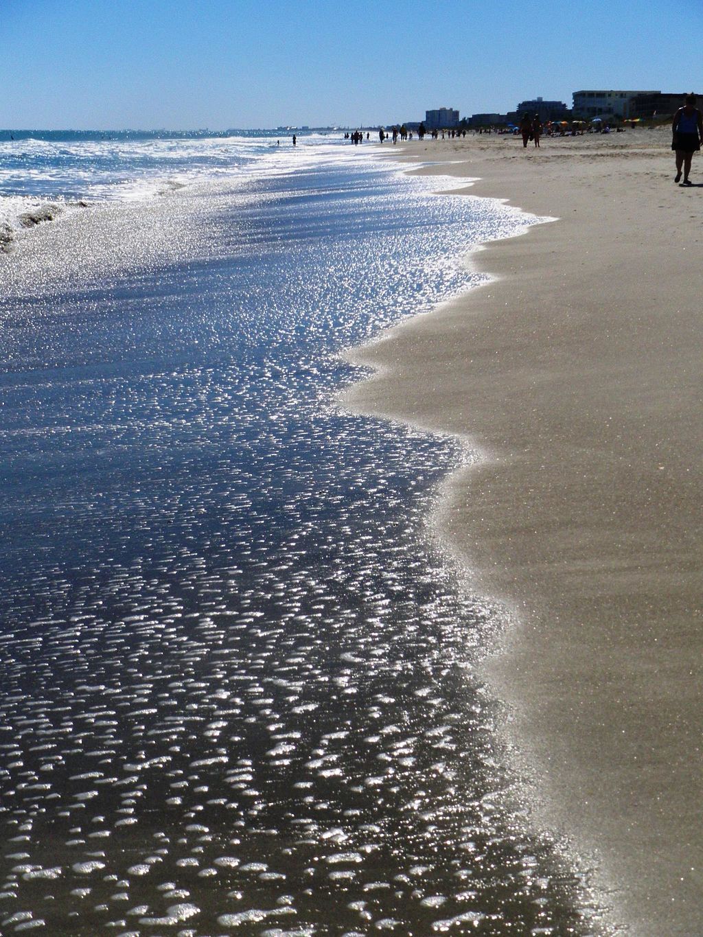Shoreline of Lori Wilson Park