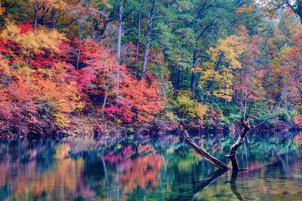 Fall scene at Canyon Mouth Park